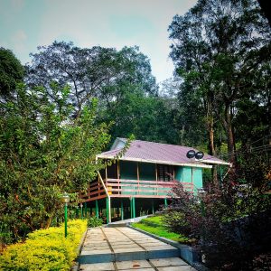 honeymoon resorts in Munnar