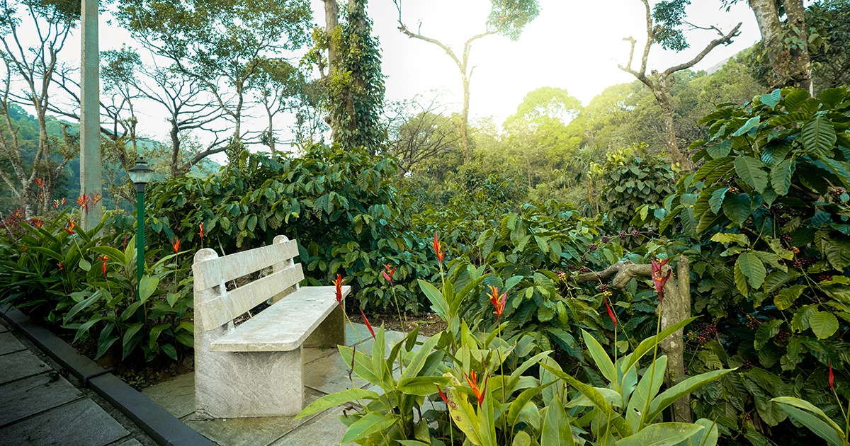 family cottages in Nelliyampathy