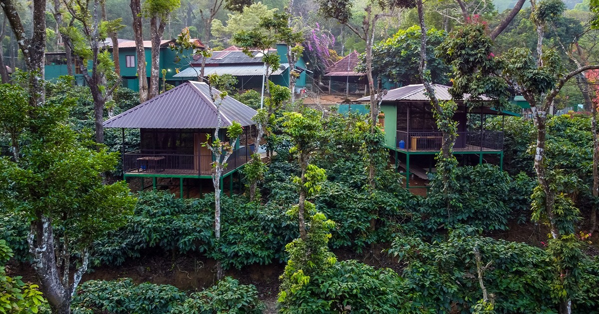 forest stay in Nelliyampathy