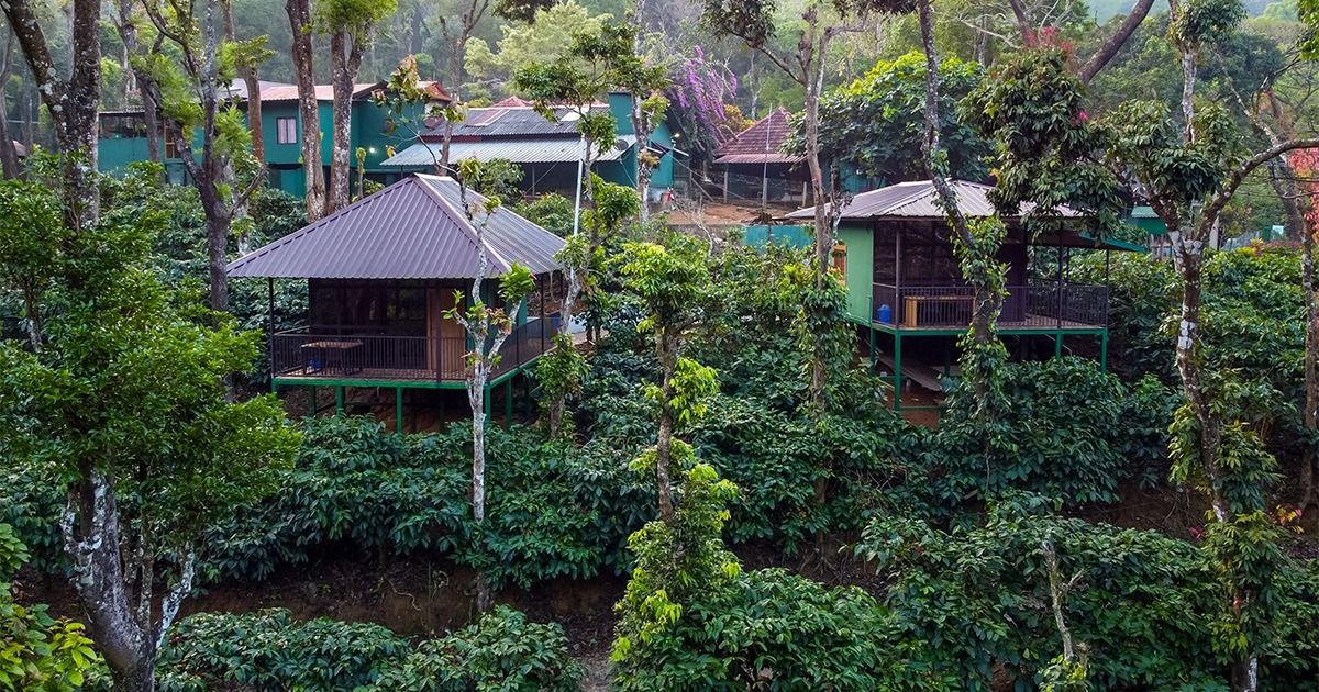 forest stay in Nelliyampathy
