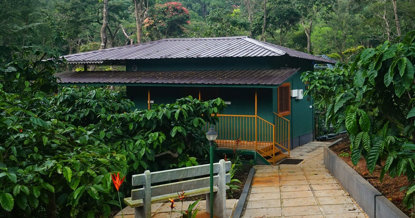 Budget stay in nelliyampathy