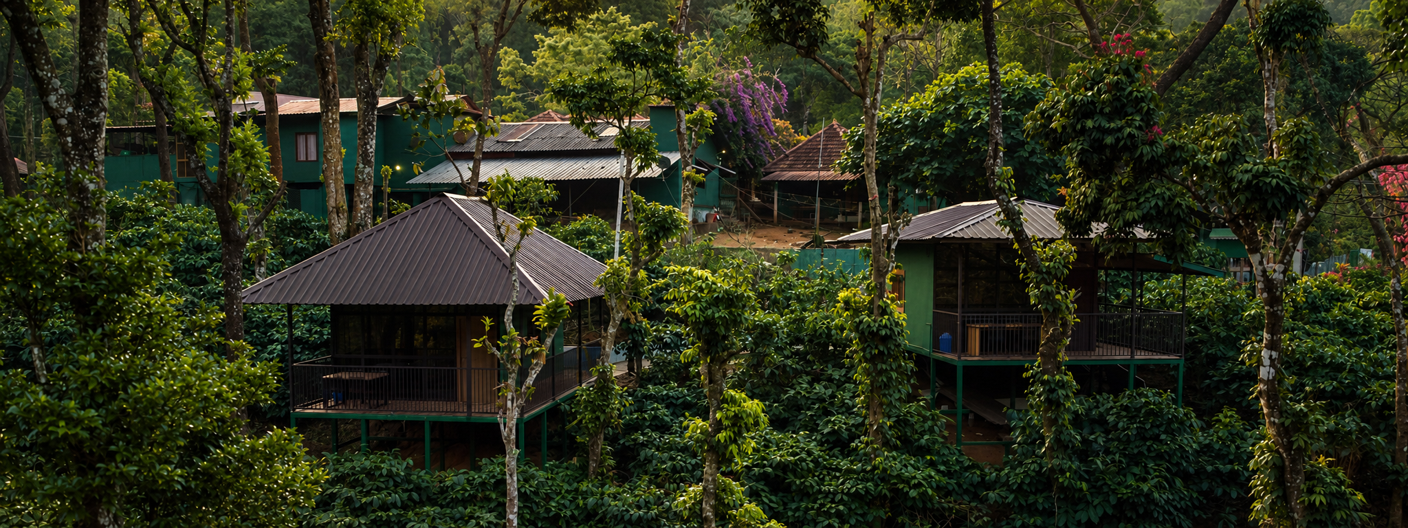 Forest Stay in Nelliyampathy