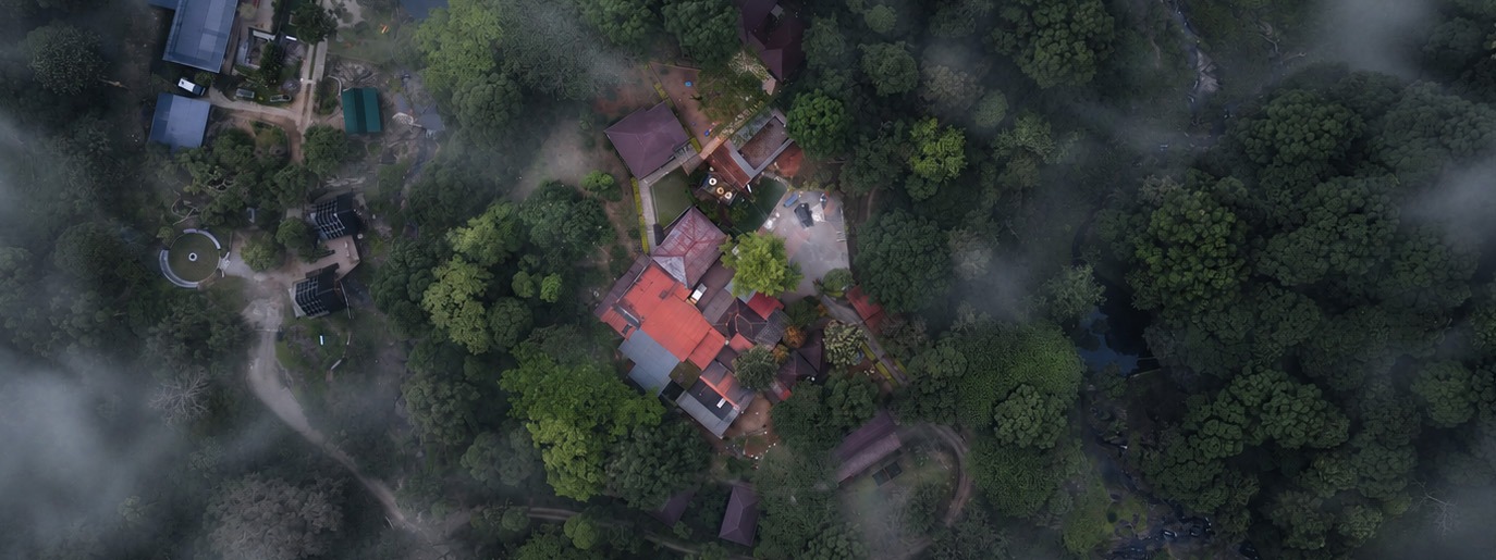 Budget stay in nelliyampathy